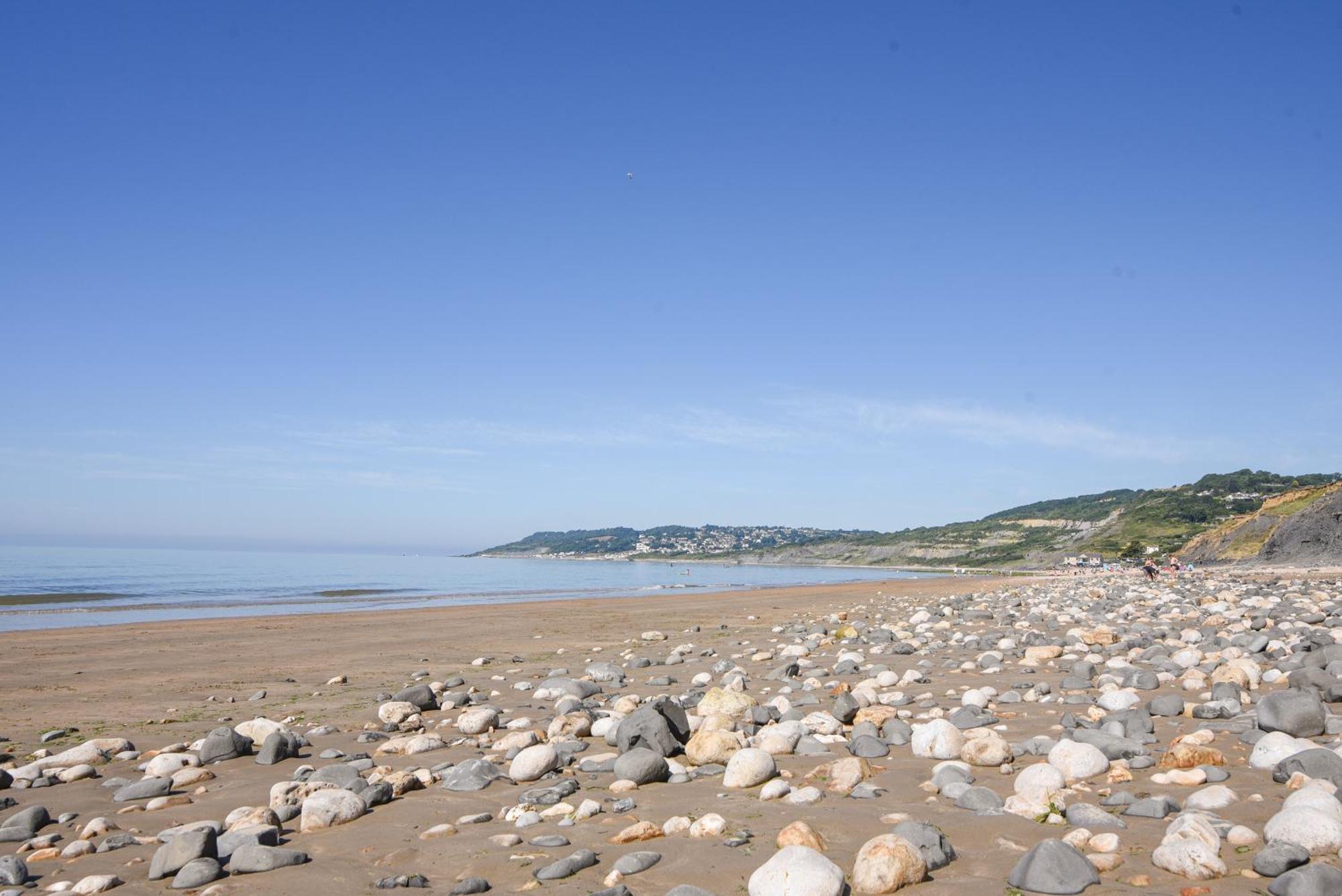 Charmouth Lodge Bridport Exterior foto